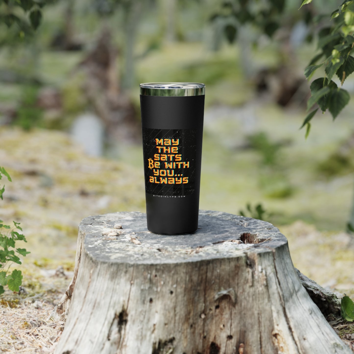 May the Sats be with You Vacuum Insulated Tumbler, 22oz