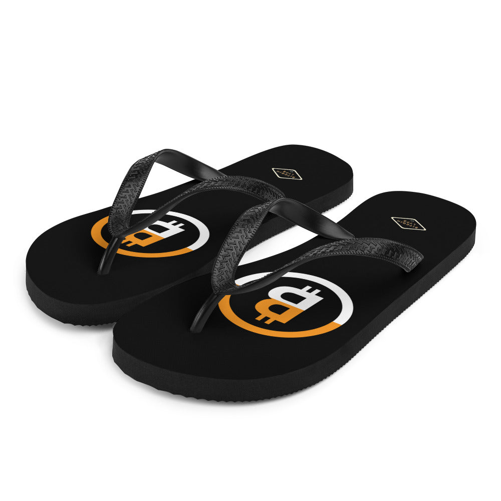 Dual B2 Flip-Flops