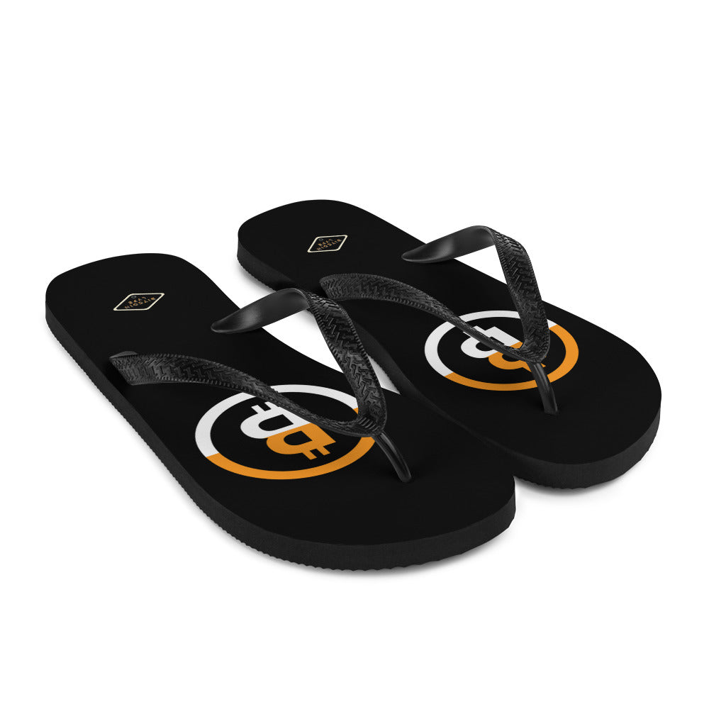 Dual B2 Flip-Flops