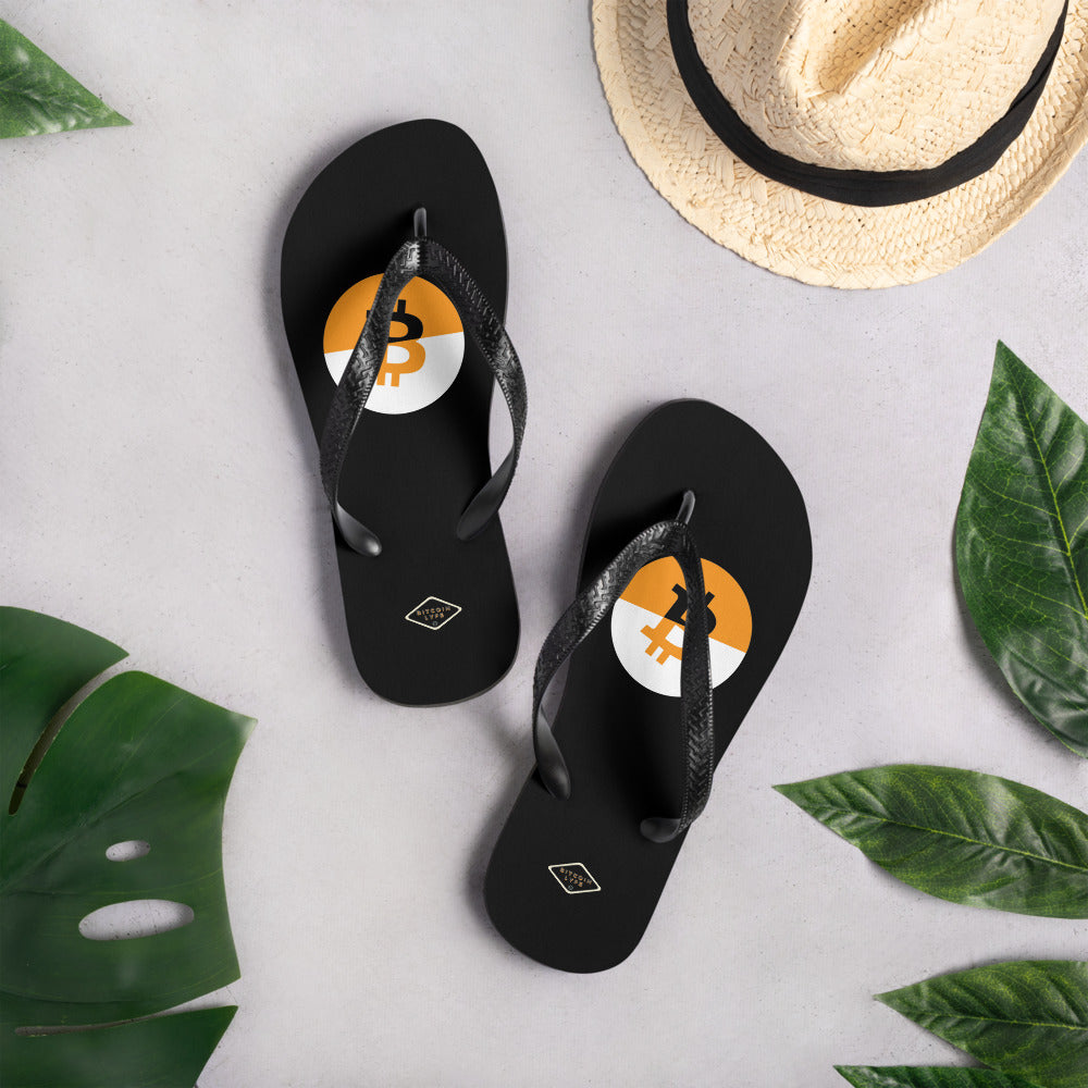Dual B3 Flip-Flops