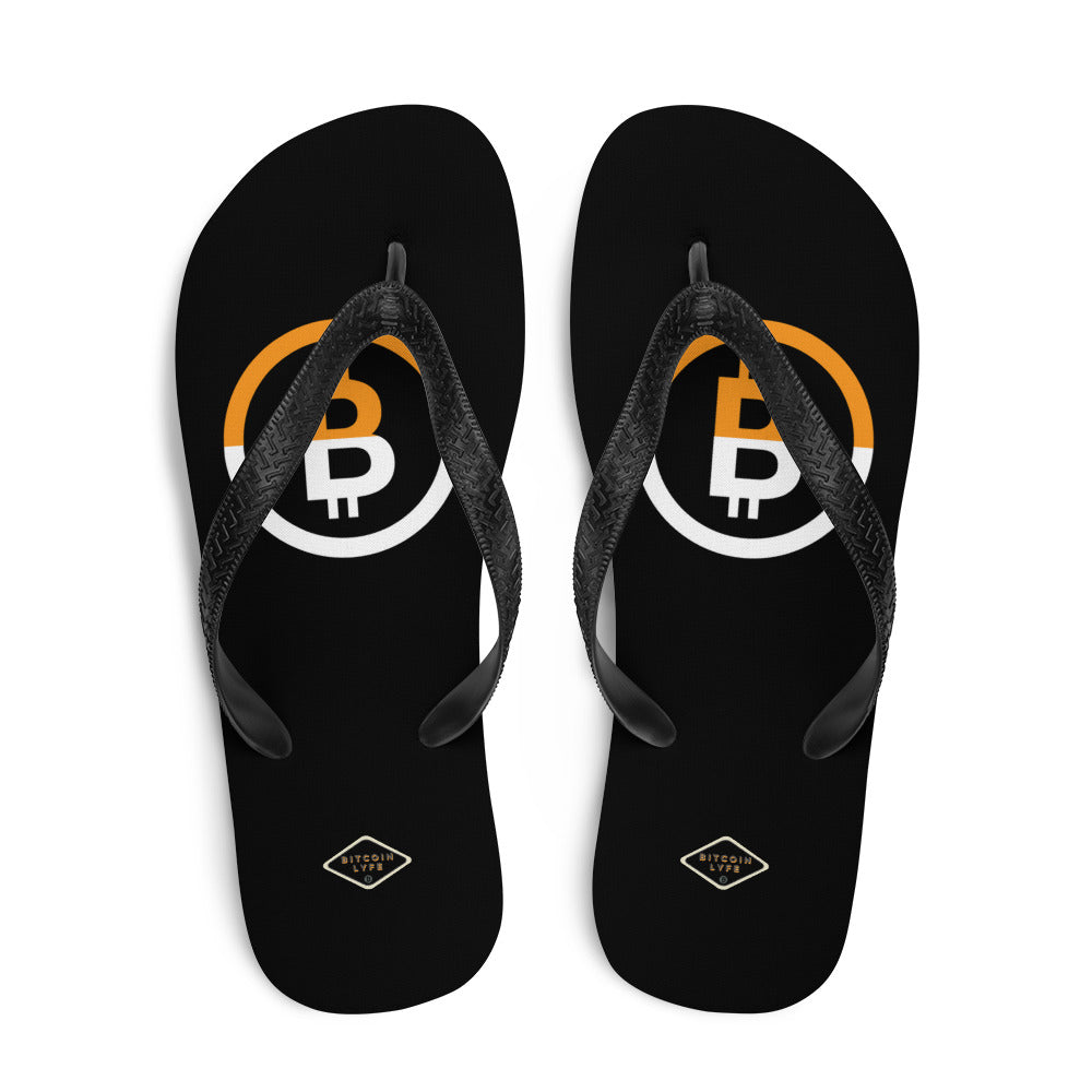 Dual B2 Flip-Flops