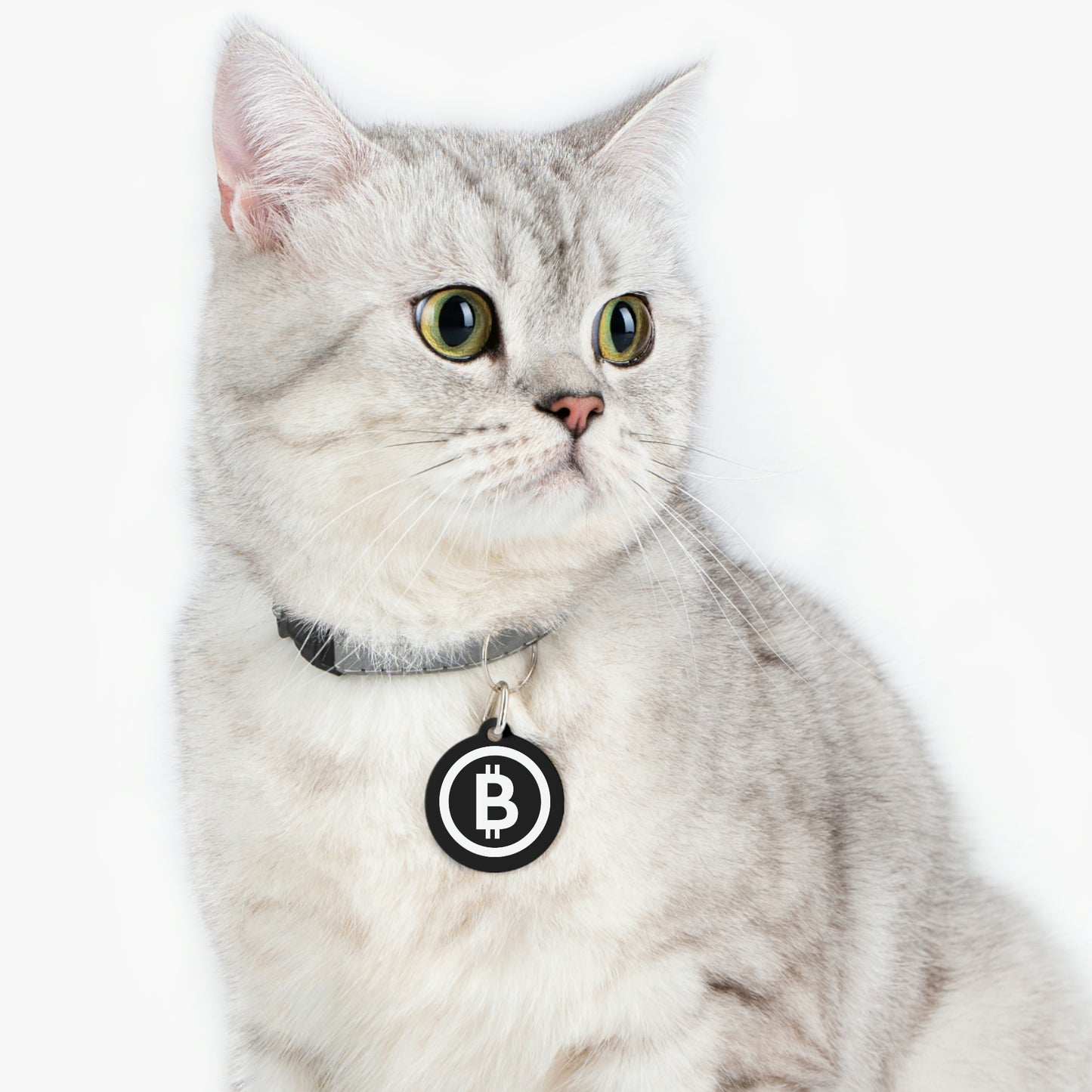 Bitcoin Pet Tag, BTC4