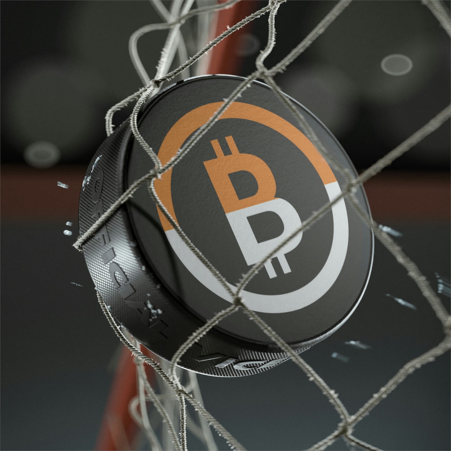 Dual B2 Hockey Puck