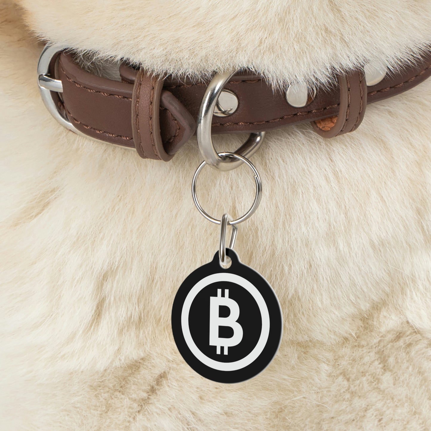 Bitcoin Pet Tag, BTC4