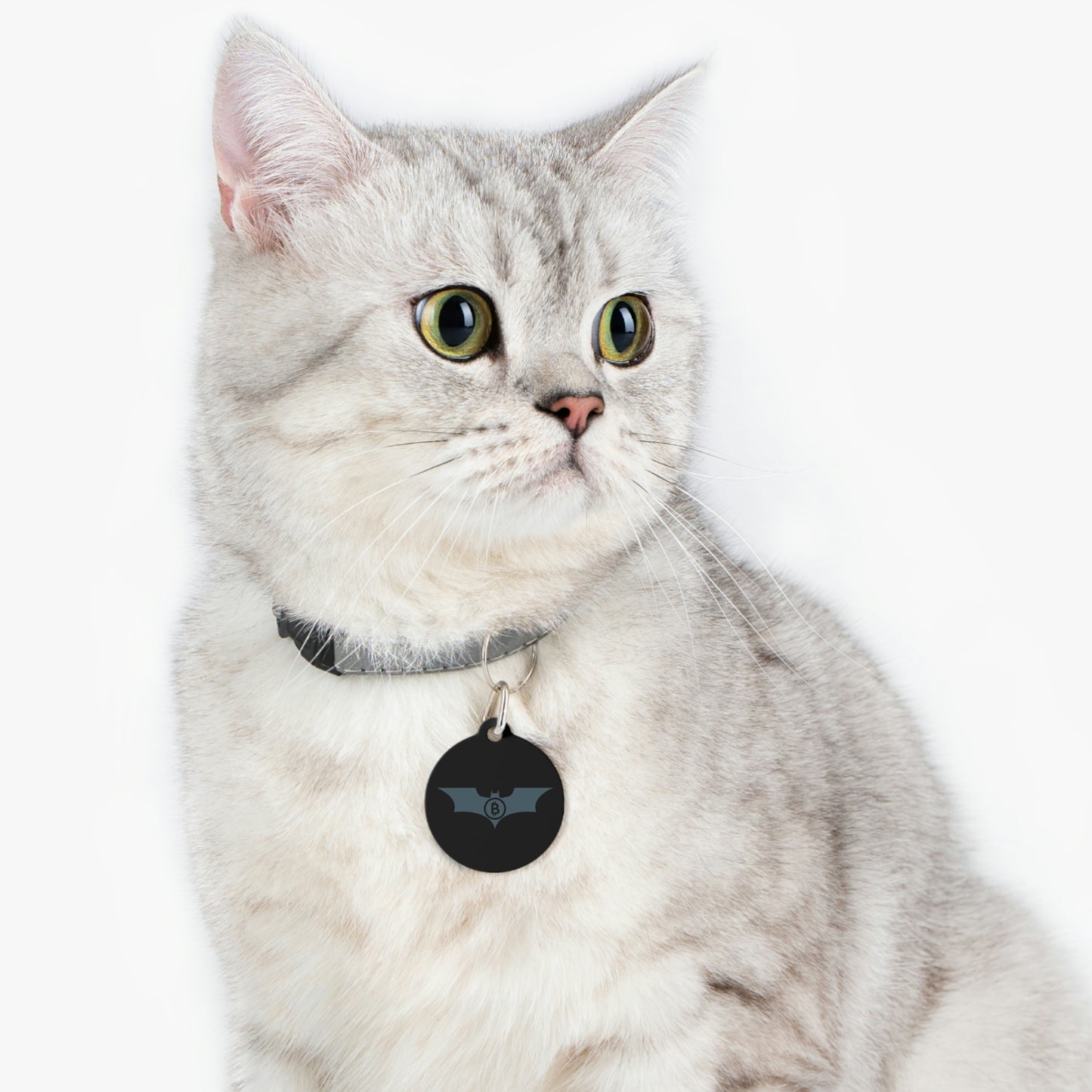 B-Bat Pet Tag