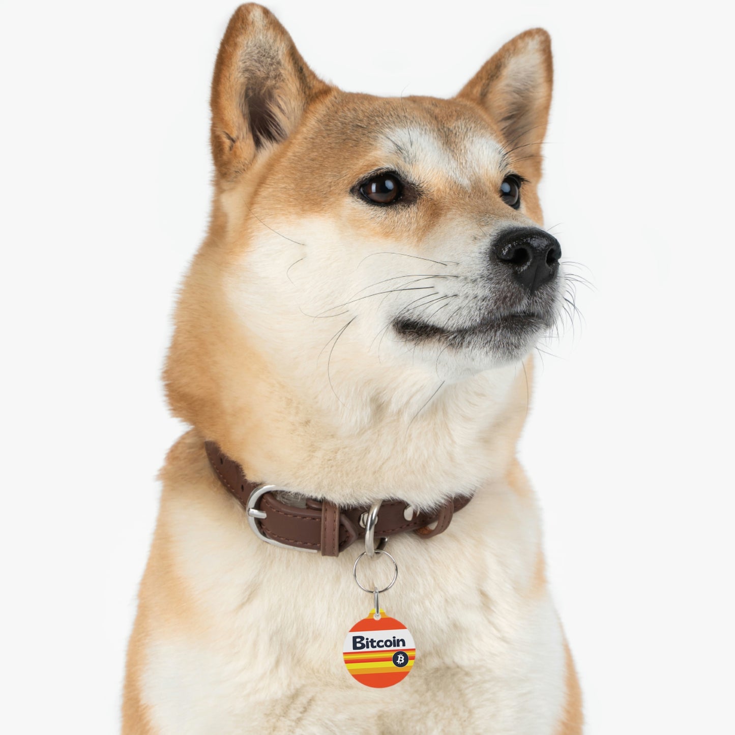 B-Stro Pet Tag