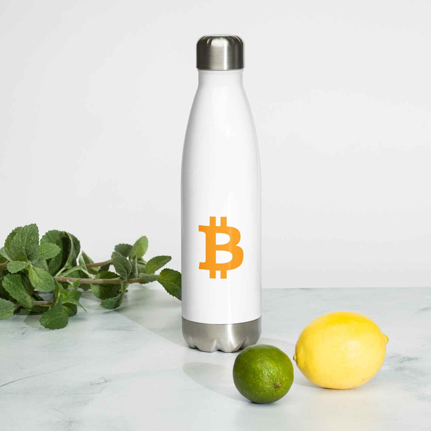 Stainless Steel Bitcoin Water Bottle BTC3