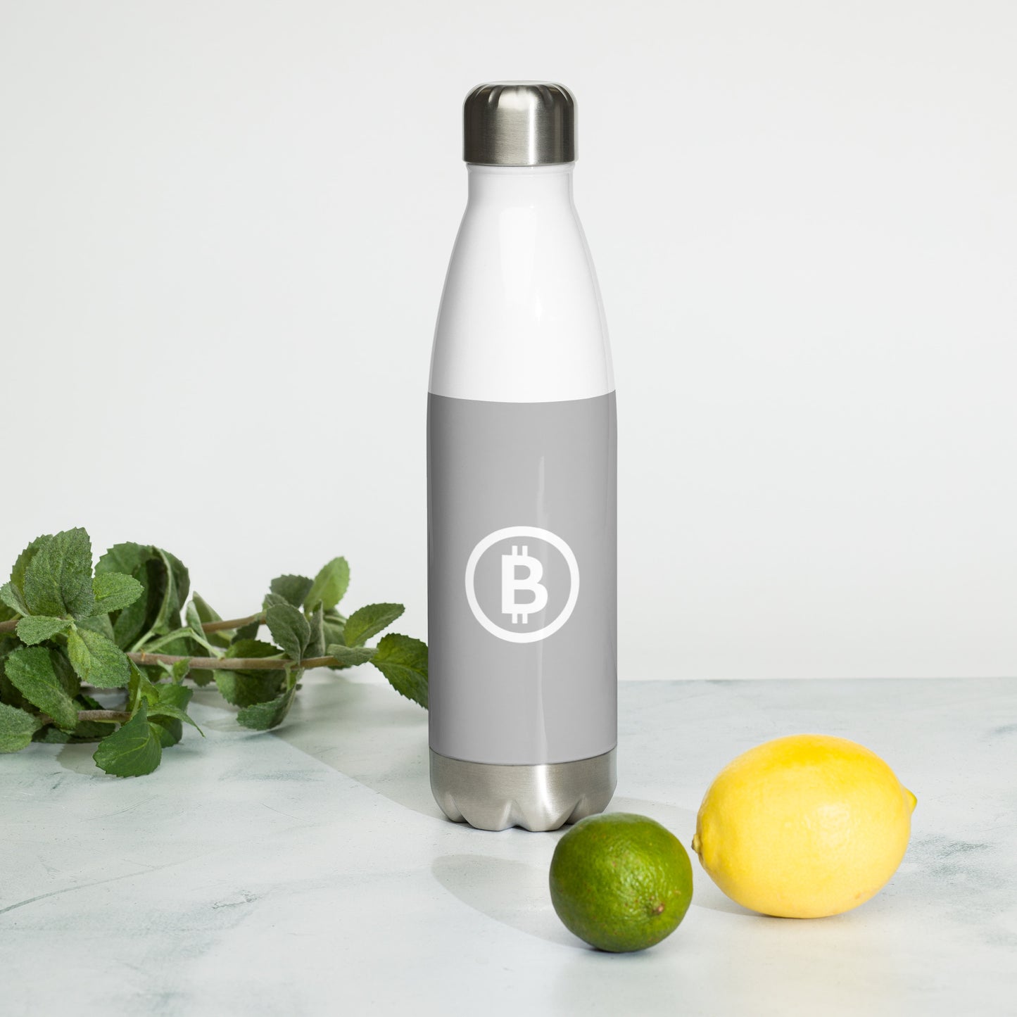 Stainless Steel Bitcoin Water Bottle BTC4