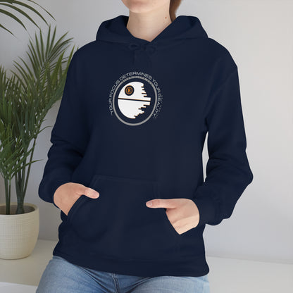 Focus Determines Reality Hoodie