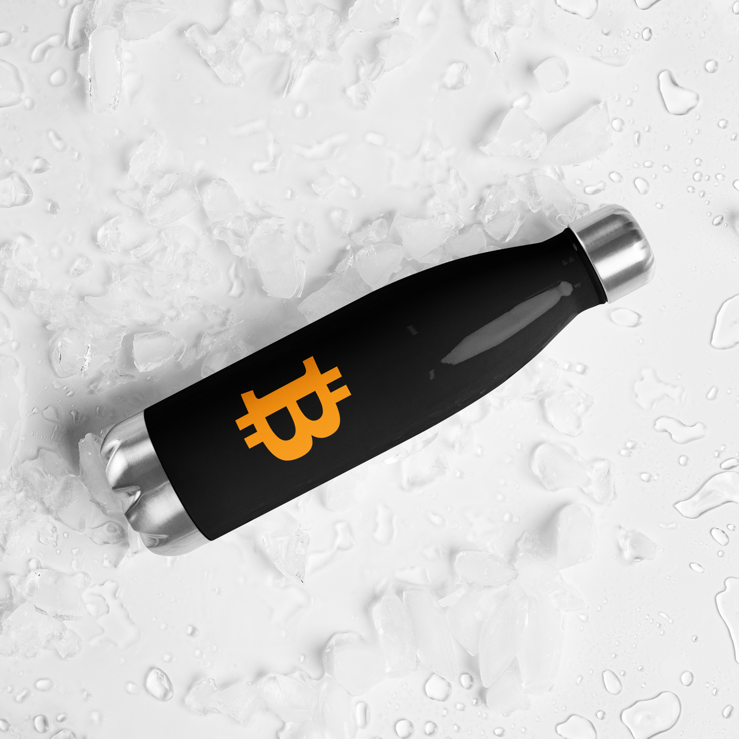 Stainless Steel Bitcoin Water Bottle BTC3