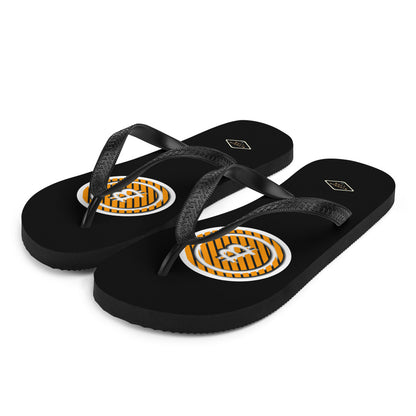 3-B Flip-Flops