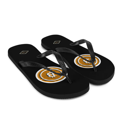 3-B Flip-Flops