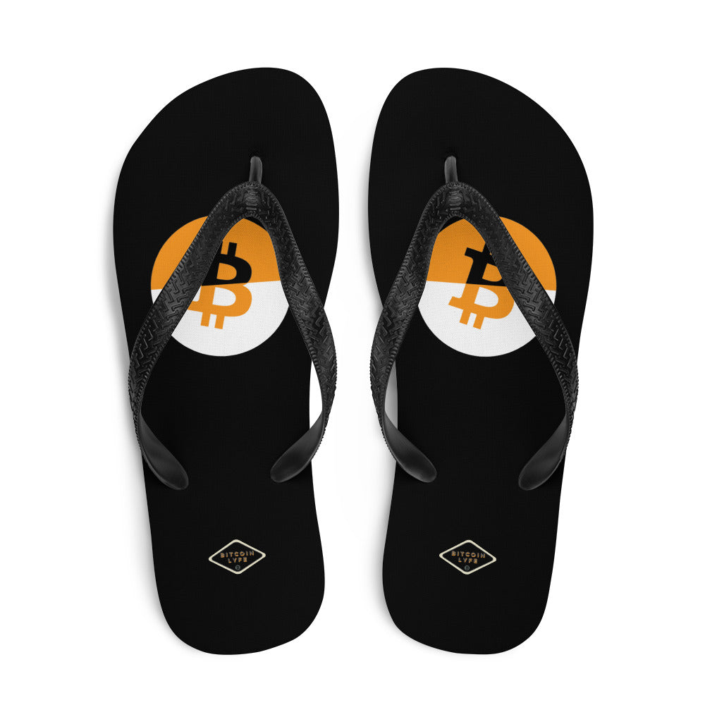 Dual B3 Flip-Flops