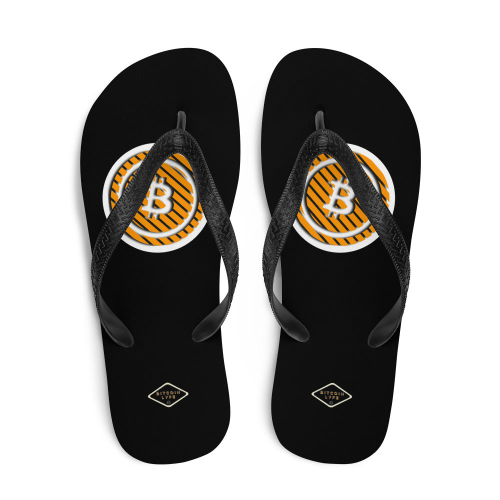 3-B Flip-Flops