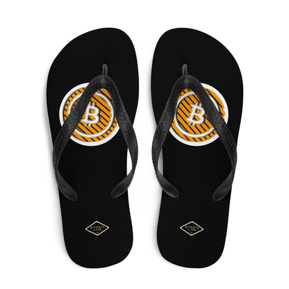 3-B Flip-Flops