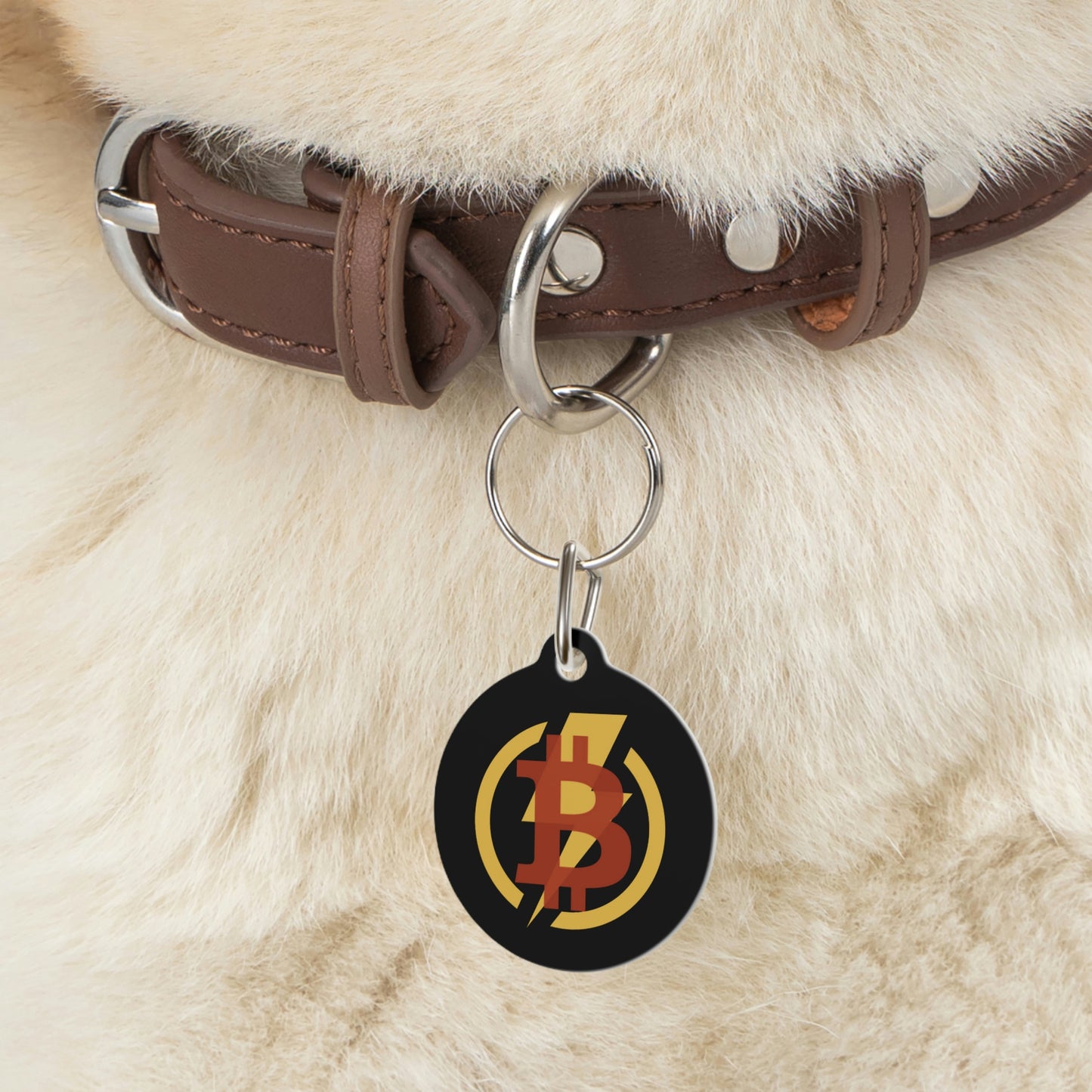 B-Bolt Pet Tag