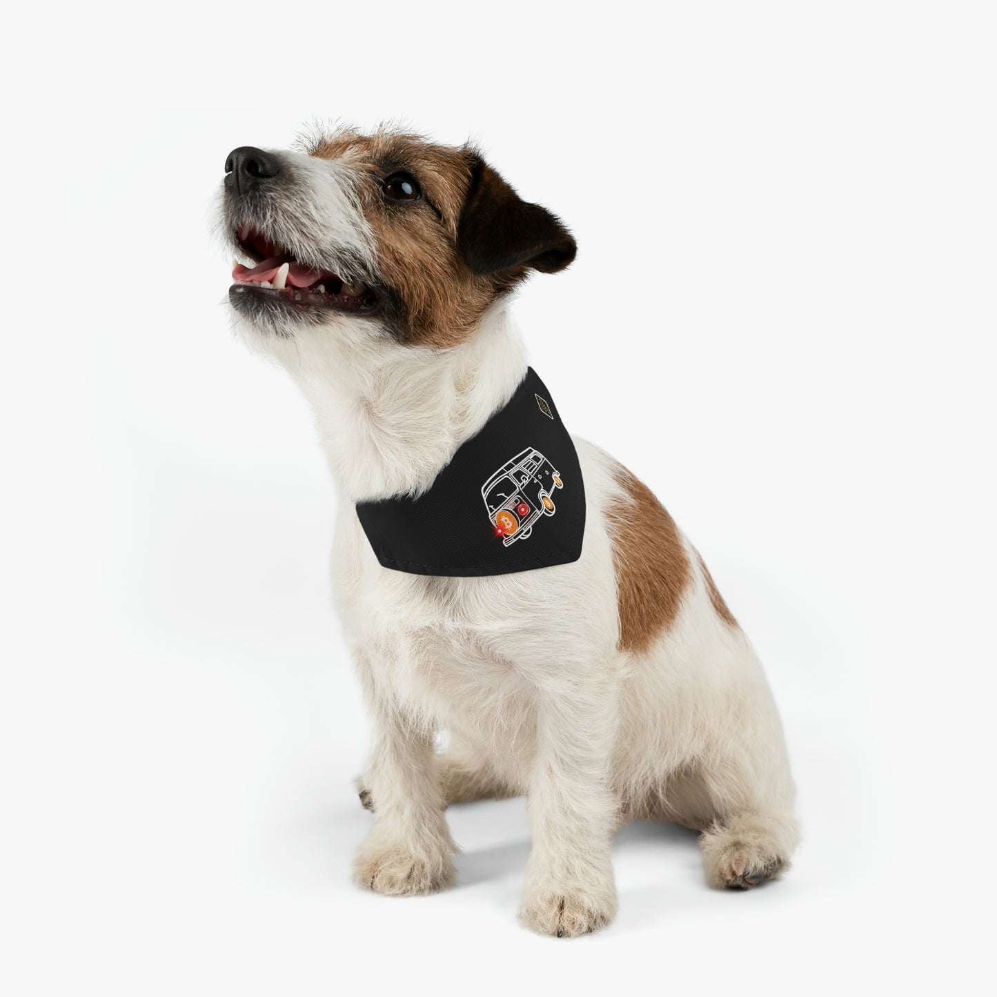 BW Van Pet Bandana Collar