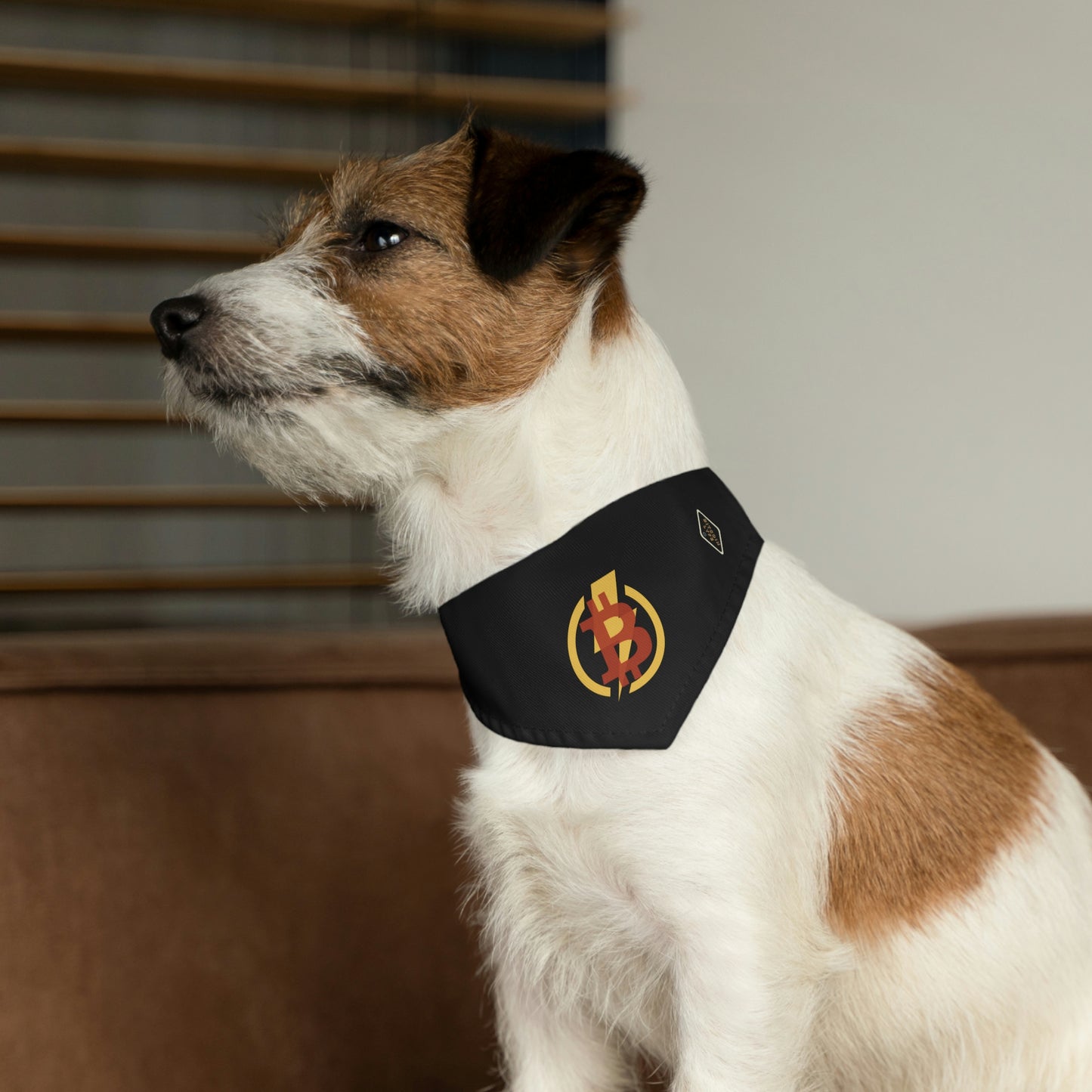 B-Bolt Pet Bandana Collar