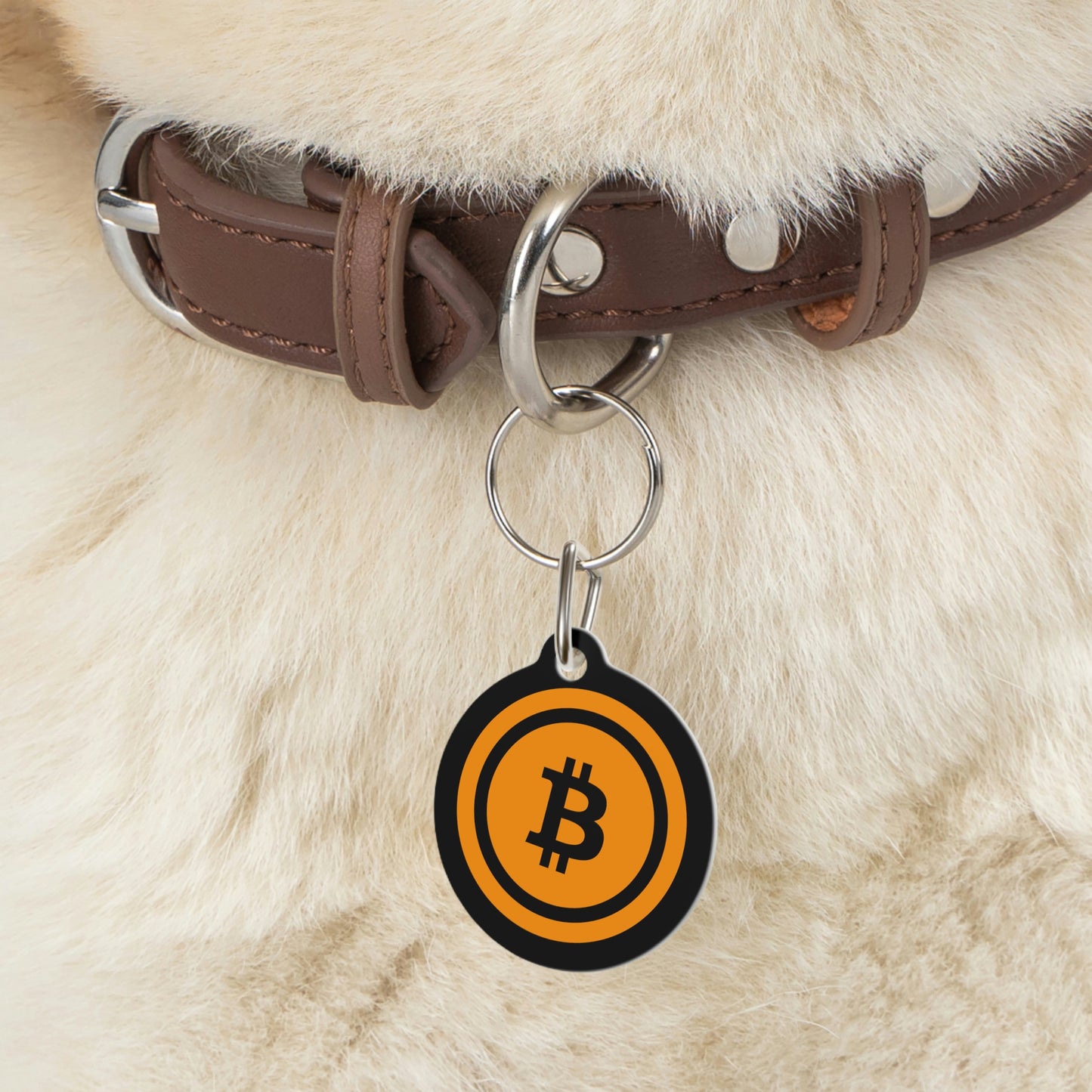 Bitcoin Pet Tag, BTC5