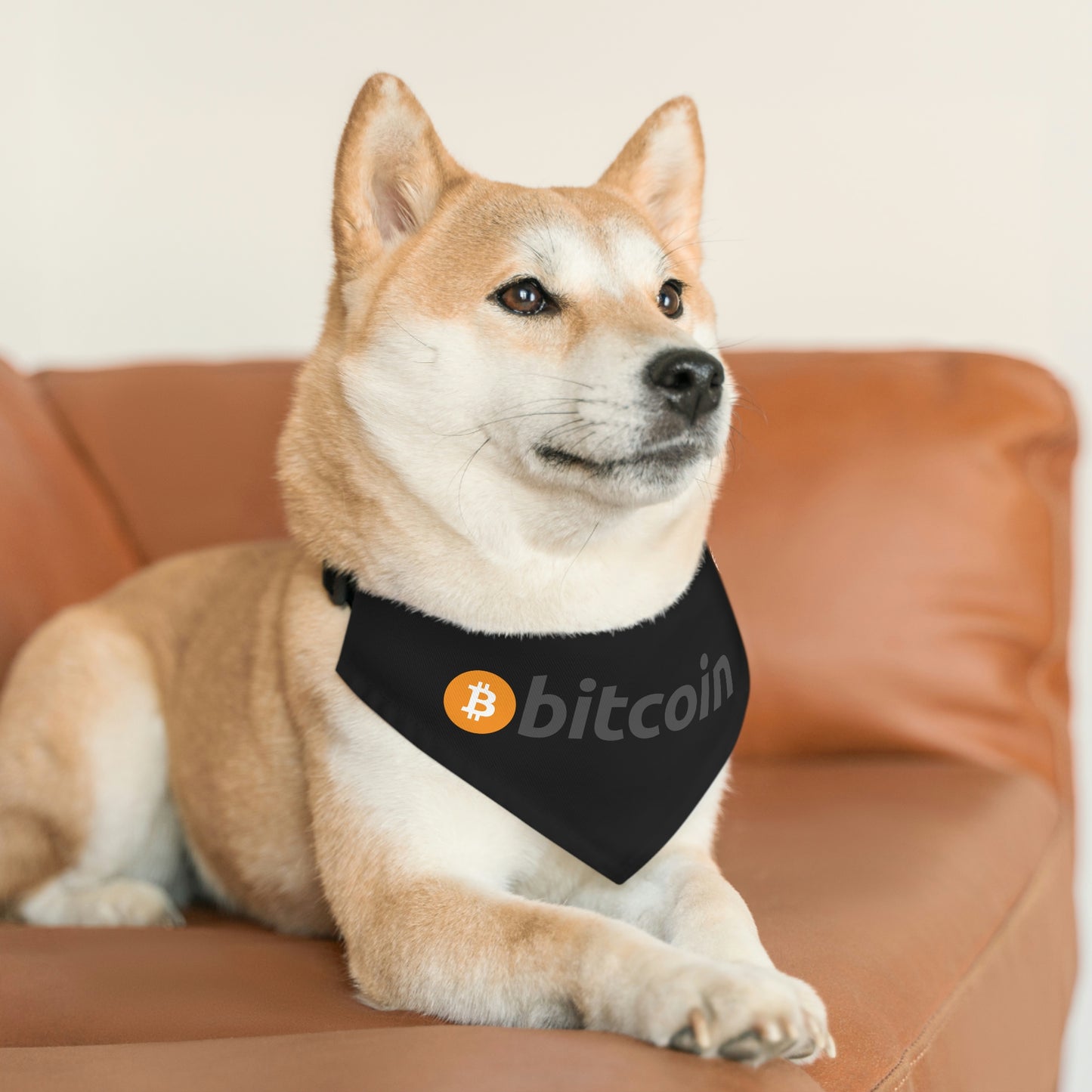 Bitcoin Pet Bandana Collar, BTC1