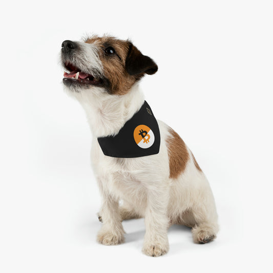 Dual B3 Pet Bandana Collar