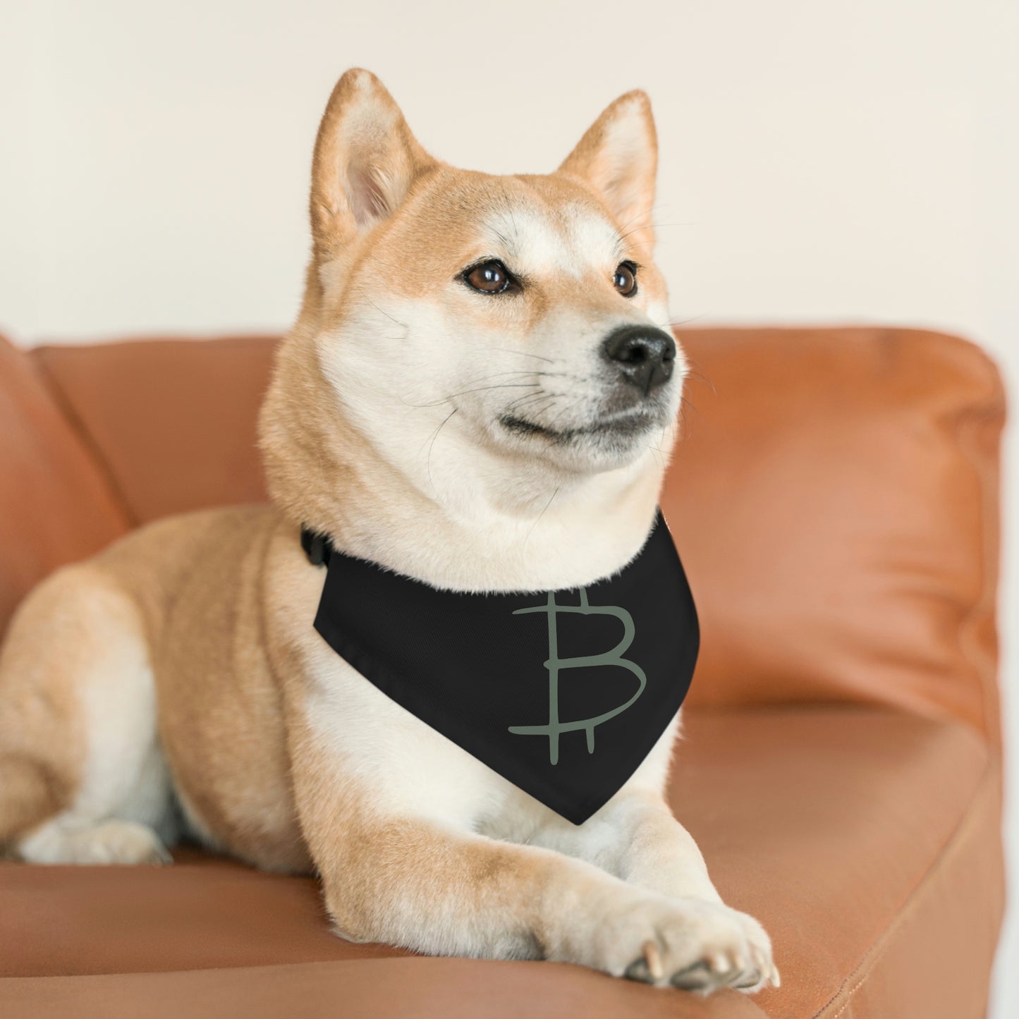 Bitcoin Pet Bandana Collar, BTC8