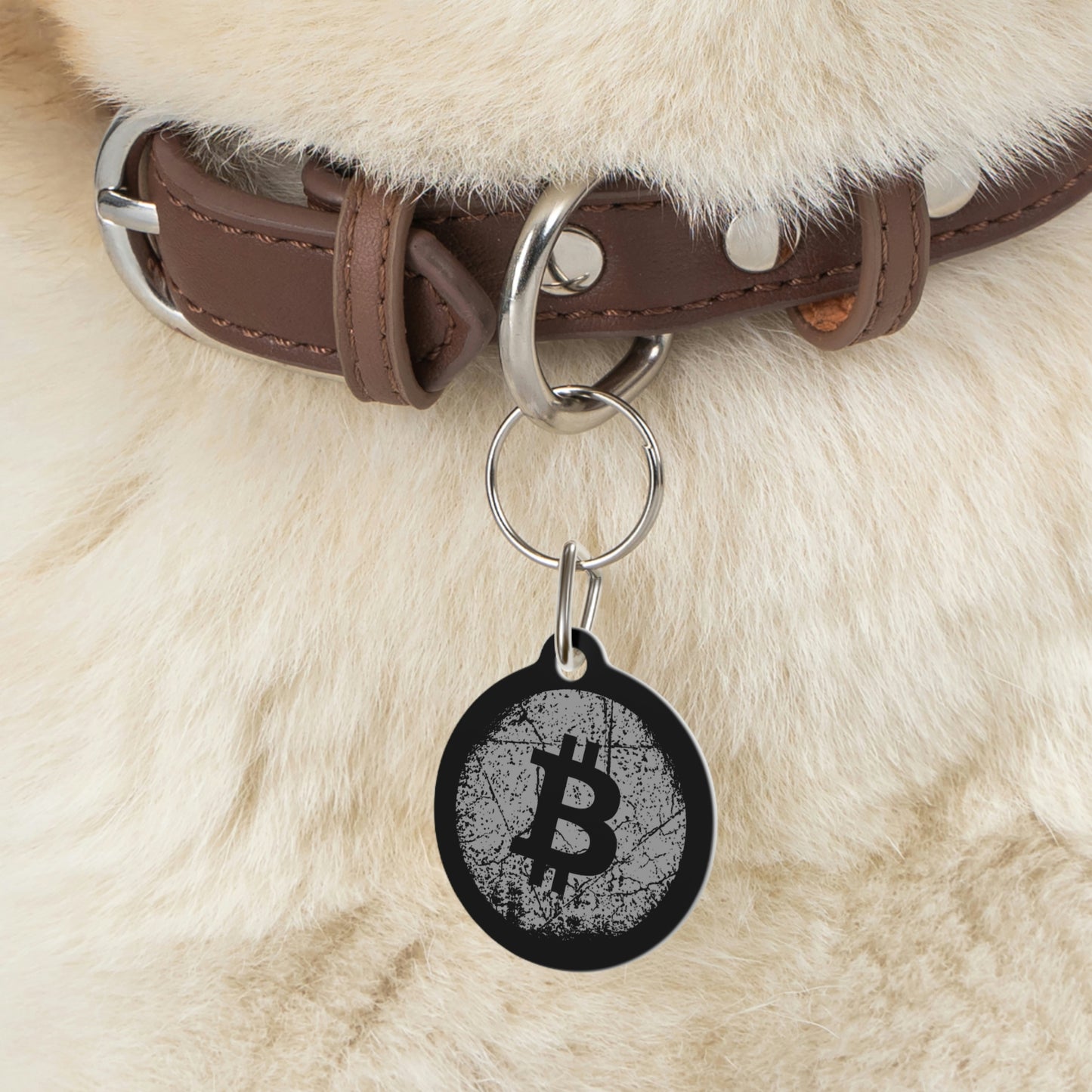 Bitcoin Pet Tag, BTC7