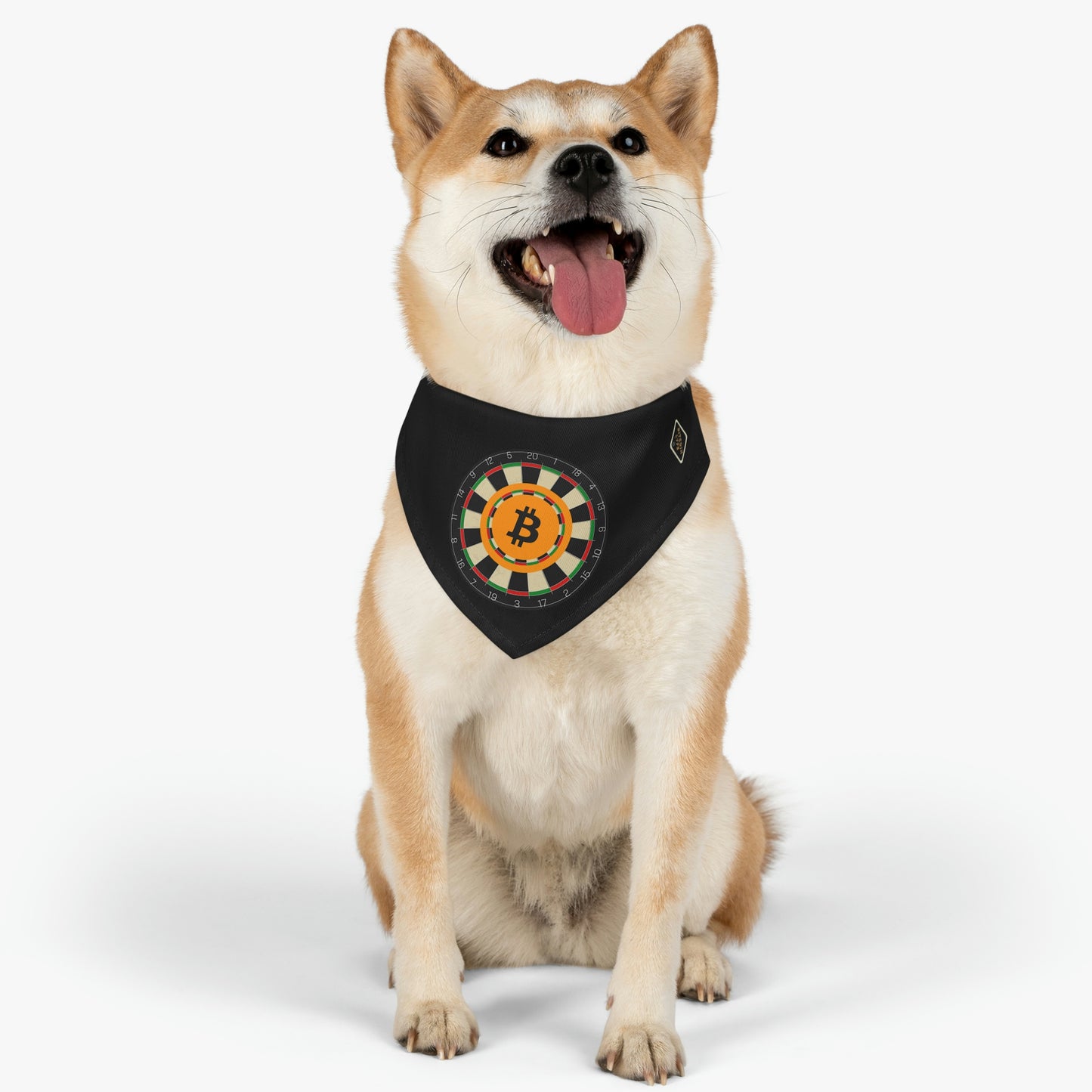 B Marks the Spot Pet Bandana Collar