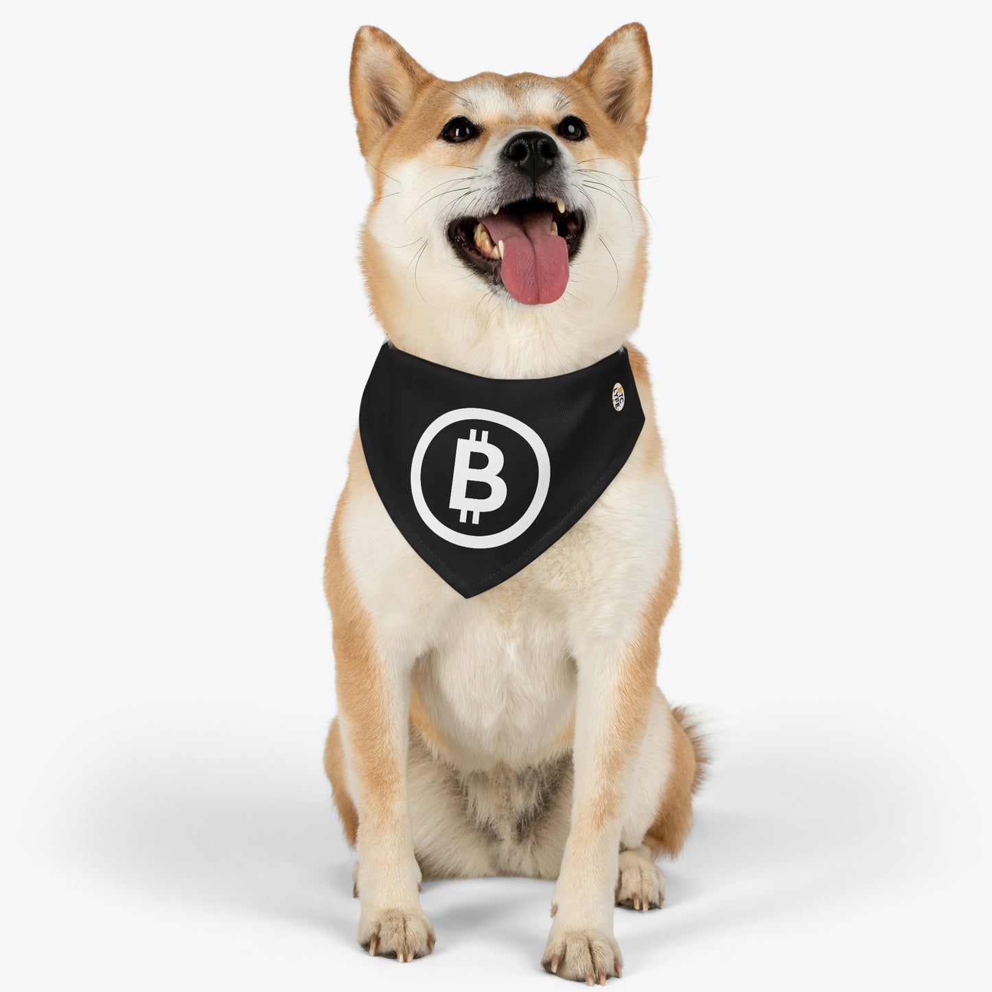 Bitcoin Pet Bandana Collar, BTC4