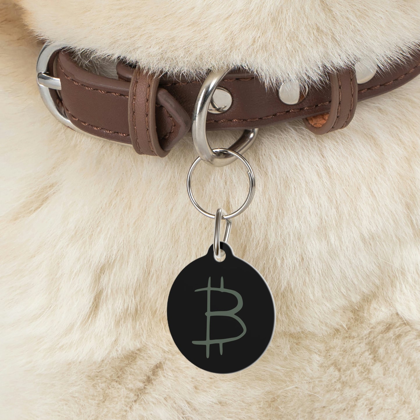 Bitcoin Pet Tag, BTC8