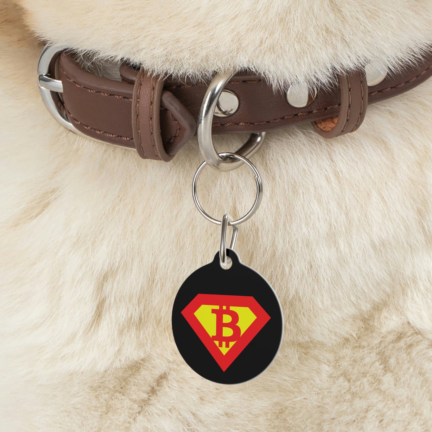 Super B Pet Tag