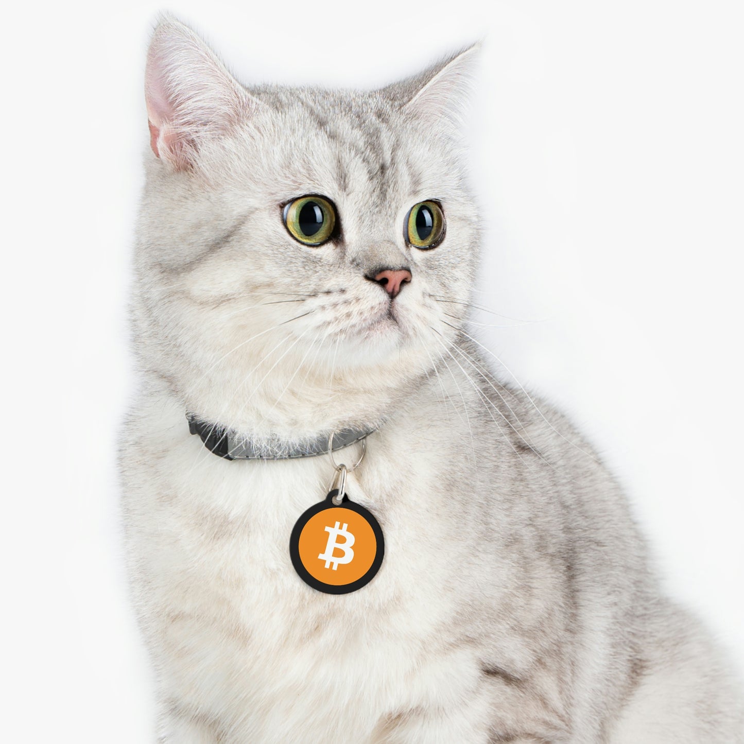 Bitcoin Pet Tag, BTC2