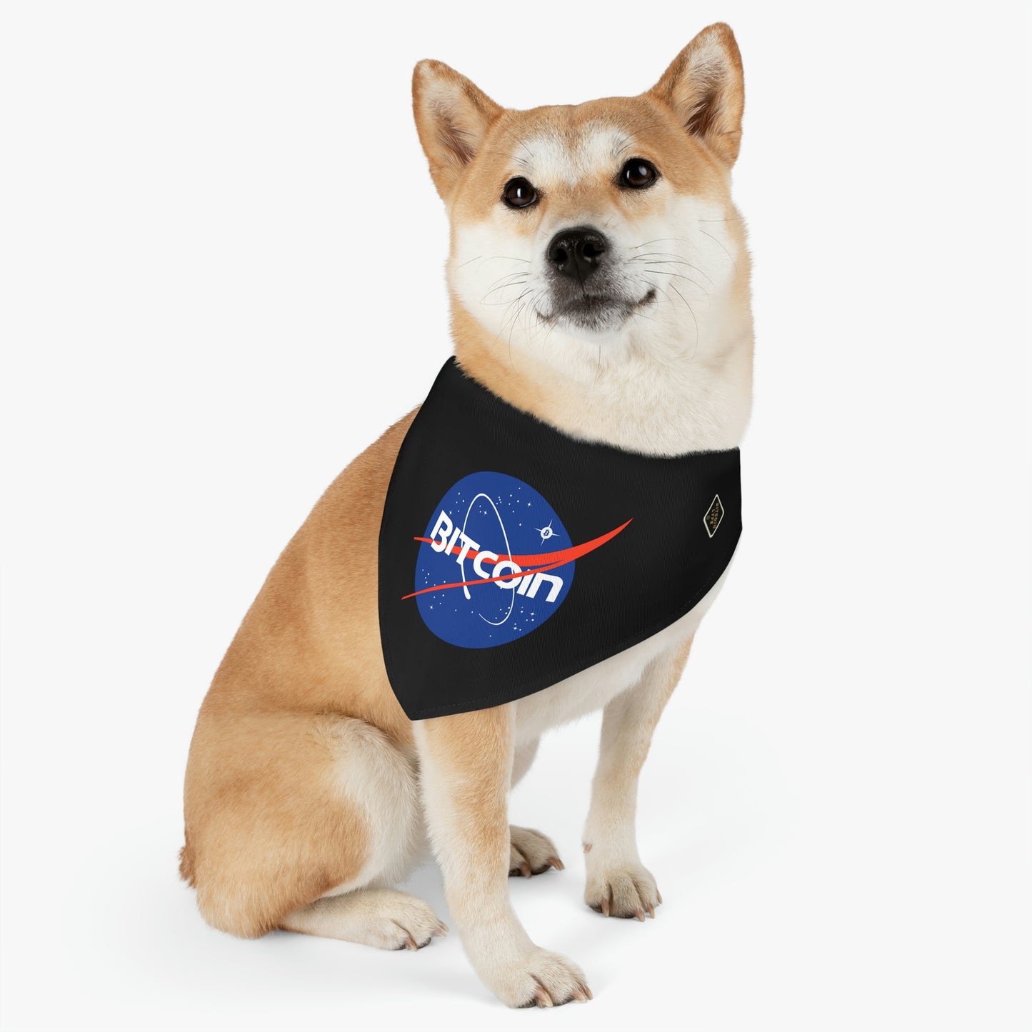 B in Space1 Pet Bandana Collar