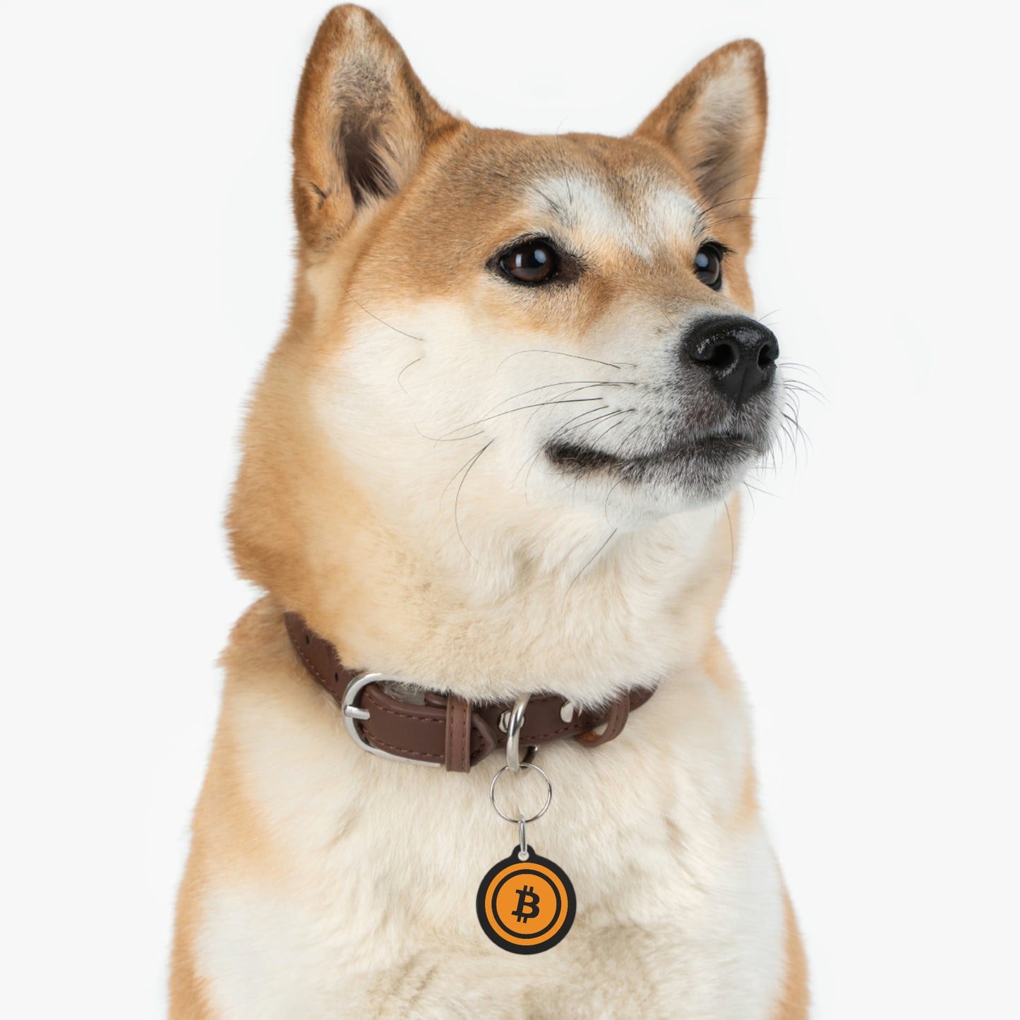 Bitcoin Pet Tag, BTC5