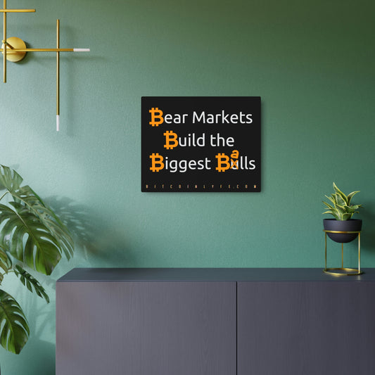 Bitcoin LYFE Bear Market Balls Metal Art Sign