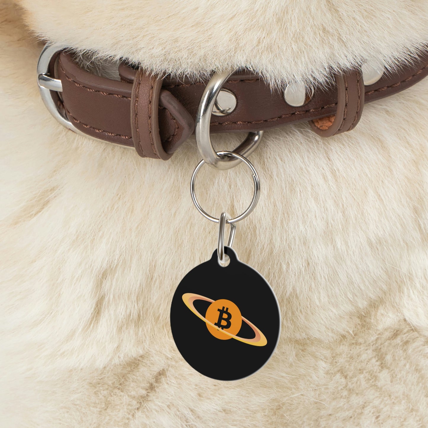 Planet B Pet Tag