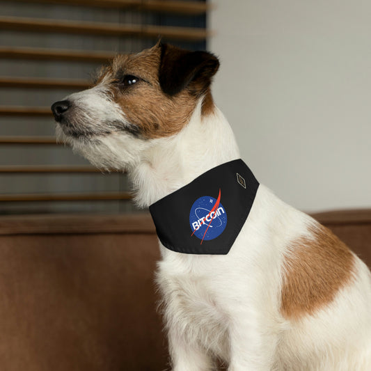 B in Space1 Pet Bandana Collar