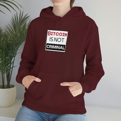 Bitcoin is Not Criminal Hooded Sweatshirt