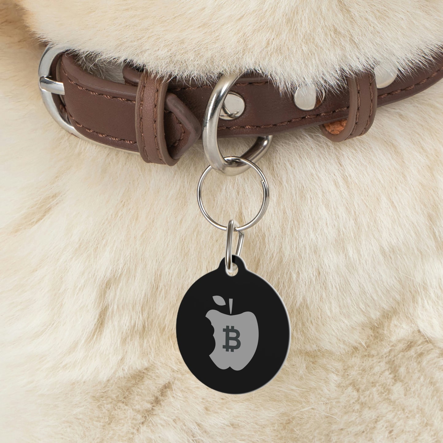 The B Apple Pet Tag