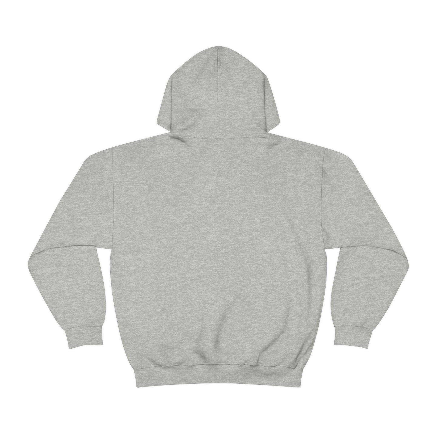 Becoming a Single Issue Voter Hooded Sweatshirt 1