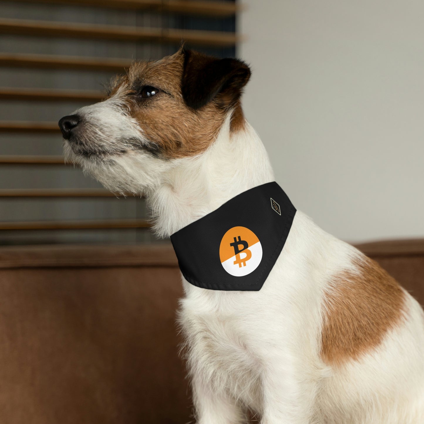 Dual B3 Pet Bandana Collar