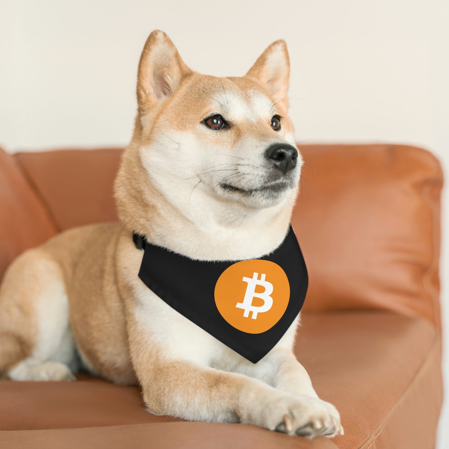 Bitcoin Pet Bandana Collar, BTC2