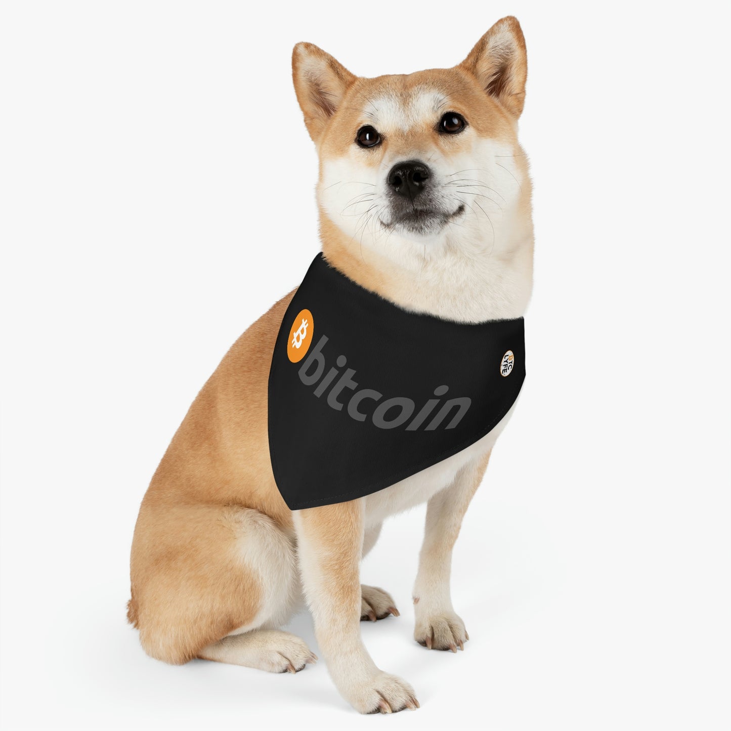 Bitcoin Pet Bandana Collar, BTC1