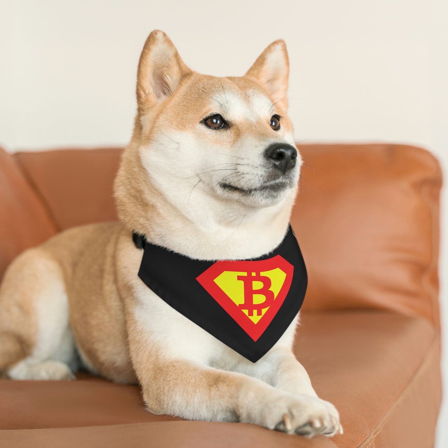 Super B Pet Bandana Collar