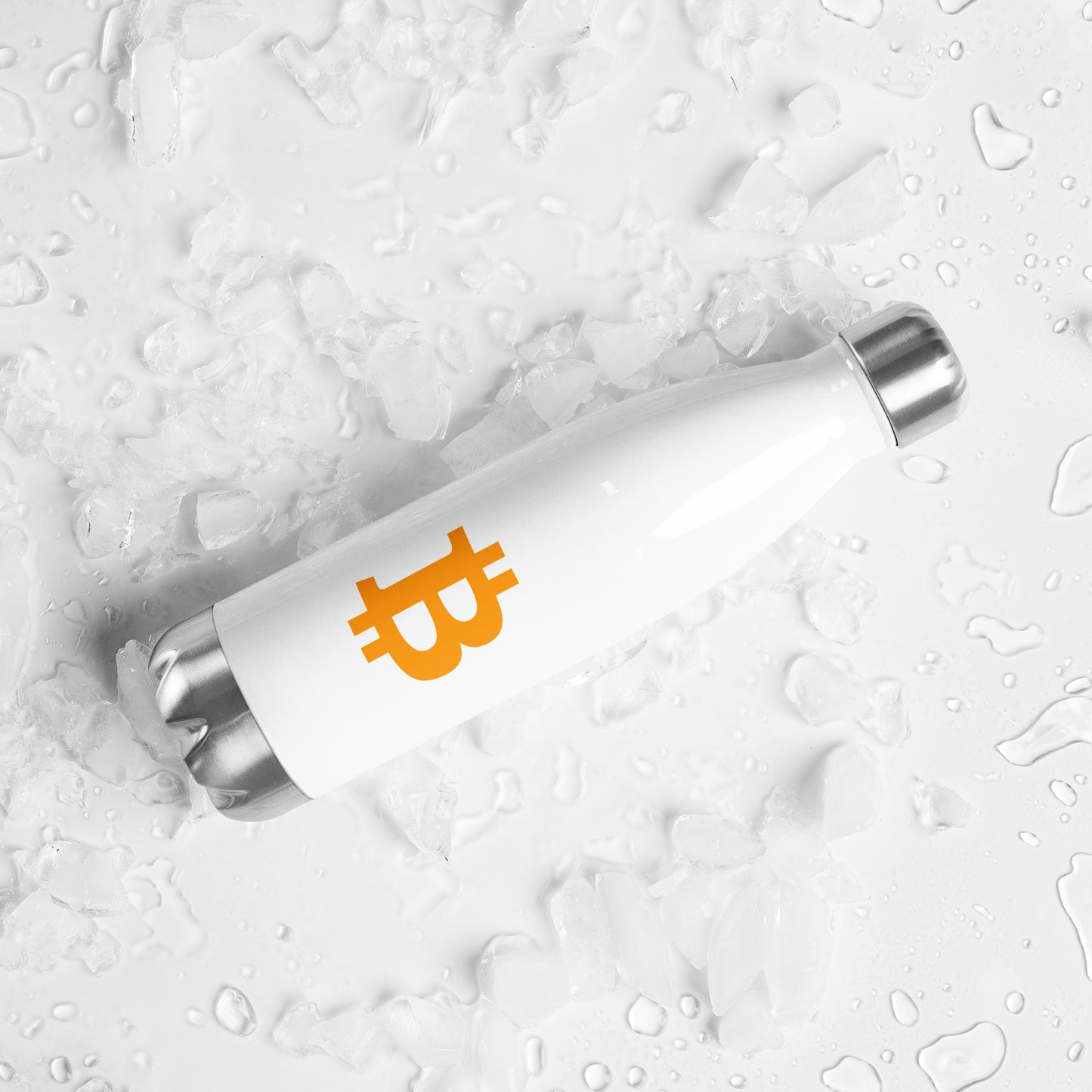 Stainless Steel Bitcoin Water Bottle BTC3